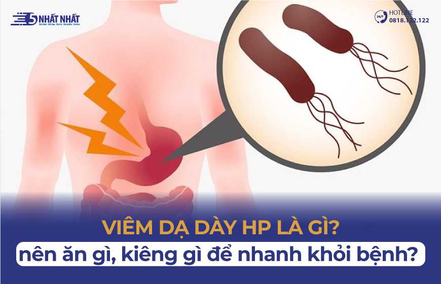 Viêm dạ dày HP là gì? Vì sao dễ bị viêm dạ dày do vi khuẩn HP?