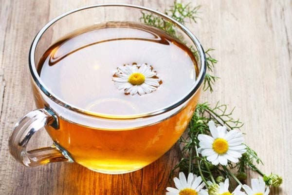 trà hoa cúc cách trị nhiệt miệng trong 1 ngày
