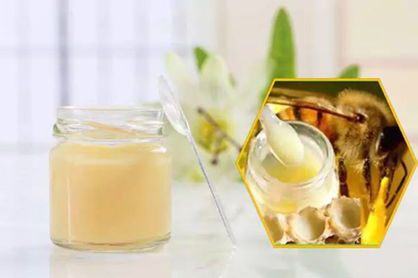 Sữa ong chúa rất giàu protein, acid amin, vitamin, lipid kích thích phát triển nội tiết