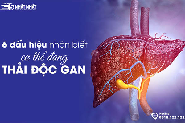 dấu hiệu cơ thể đang thải độc gan