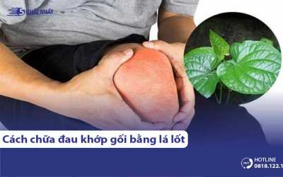 7 cách chữa đau nhức khớp gối bằng lá lốt hiệu quả, dễ thực hiện