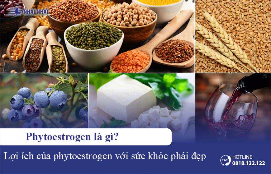 Phytoestrogen là gì? 6 lợi ích và 7 thực phẩm giàu phytoestrogen