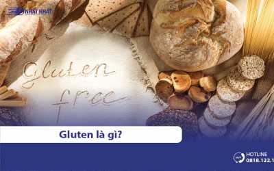 Gluten là gì? Lợi ích, tác hại & những đối tượng nên tránh thực phẩm chứa gluten