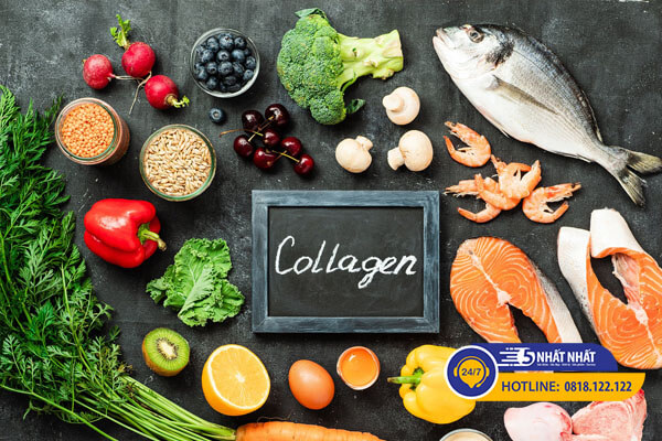 thực phẩm giàu collagen tốt cho người đau gối
