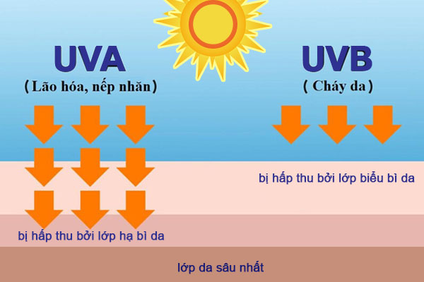 Da sạm đen do tiếp xúc nhiều với ánh sáng mặt trời