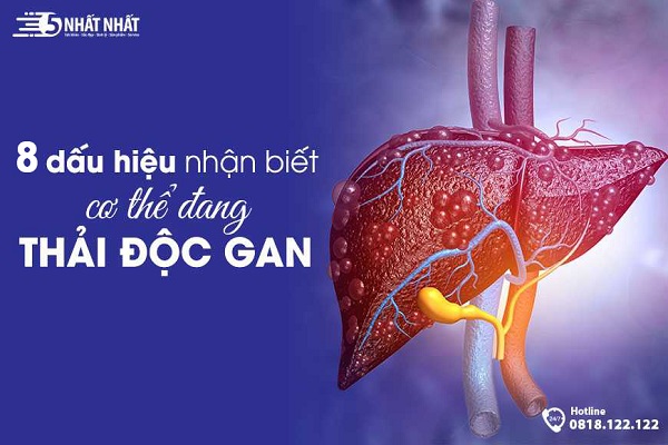 dấu hiệu gan đang thải độc