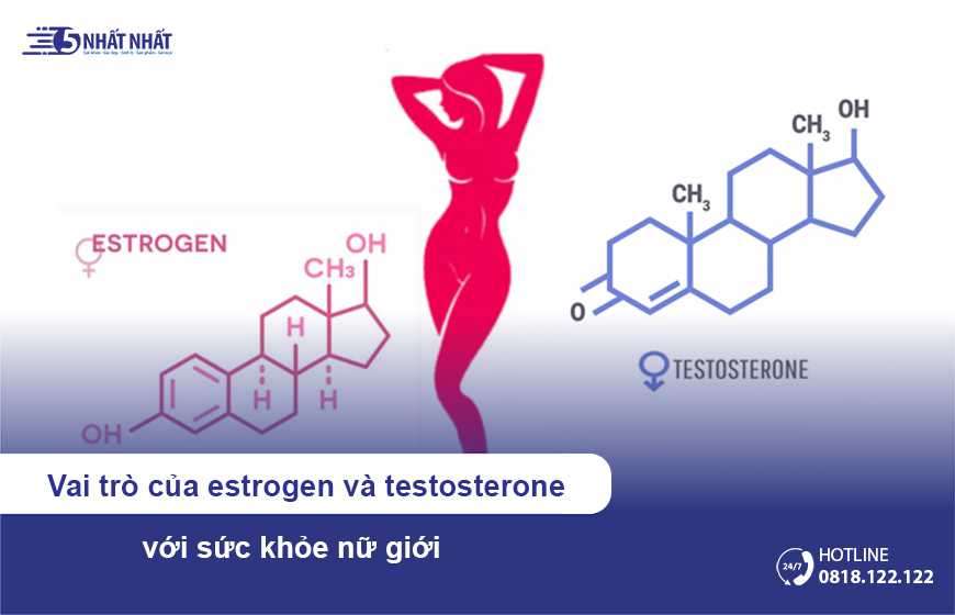 Vai trò của estrogen và testosterone với sức khỏe nữ giới