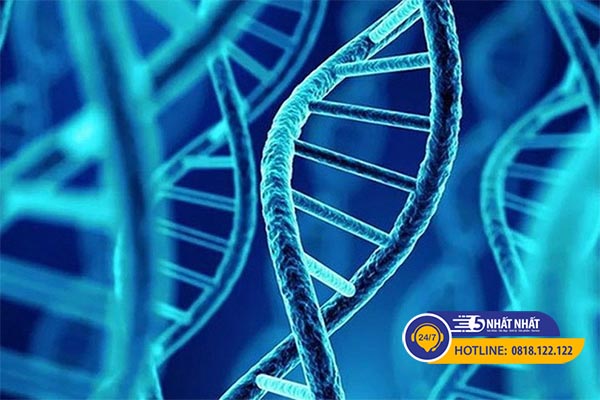 Chỉ một đêm mất ngủ có thể ảnh hưởng tới DNA trong cơ thể