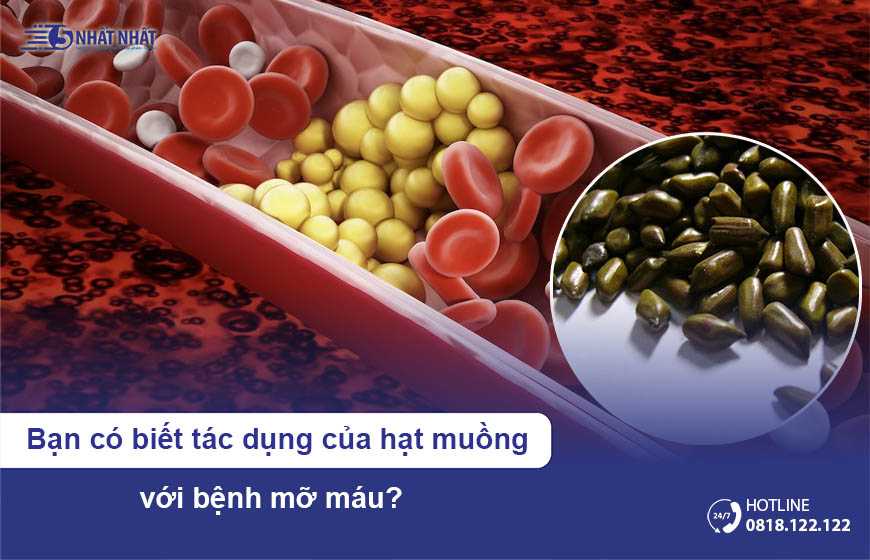 [Bạn có biết] Tác dụng của hạt muồng với bệnh mỡ máu?