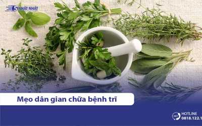 4 mẹo chữa bệnh trĩ bằng phương pháp dân gian hiệu quả, phổ biến