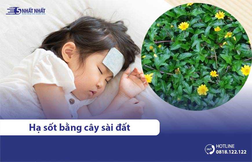 Tác dụng hạ sốt bằng cây sài đất cho bé như thế nào?