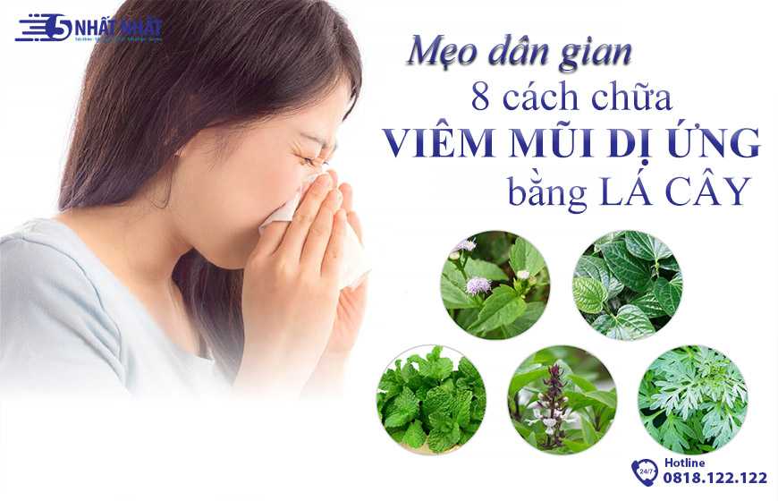 [Mẹo dân gian hay] 8 cách chữa viêm mũi dị ứng bằng lá cây