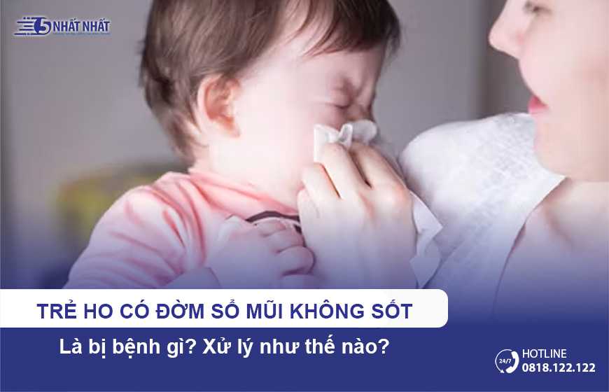 Trẻ ho có đờm sổ mũi không sốt là bị bệnh gì? Cách xử lý như thế nào?