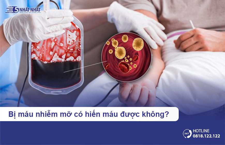 Bị máu nhiễm mỡ có hiến máu được không?