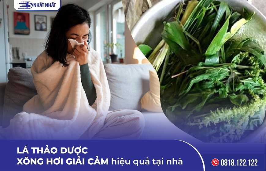 Các loại lá xông hơi giải cảm hiệu quả tại nhà