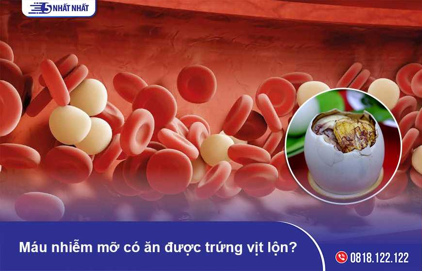 Máu nhiễm mỡ có ăn được trứng vịt lộn không?