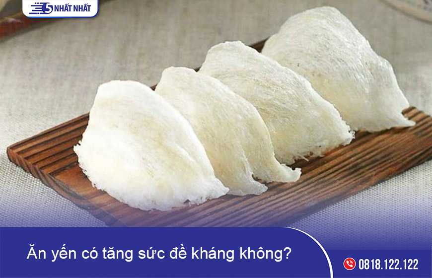 Ăn yến có tăng sức đề kháng không?