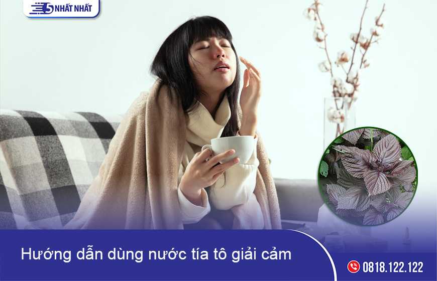 Hướng dẫn dùng nước tía tô giải cảm đúng cách