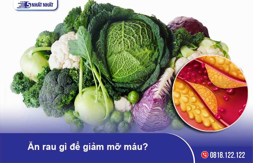 Ăn rau gì để giảm mỡ máu? Đừng bỏ qua 8 loại rau hạ mỡ máu hiệu quả