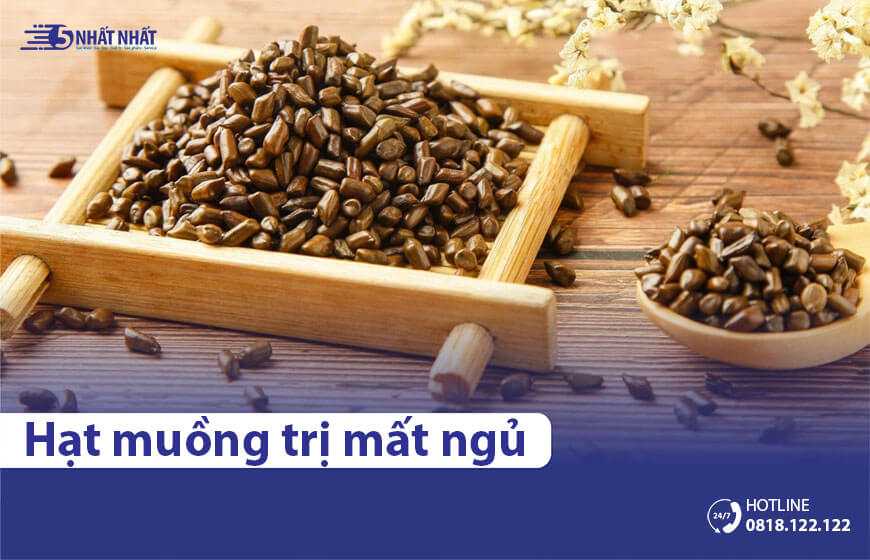 Hạt muồng trị mất ngủ & những lợi ích tuyệt vời khác cho sức khỏe