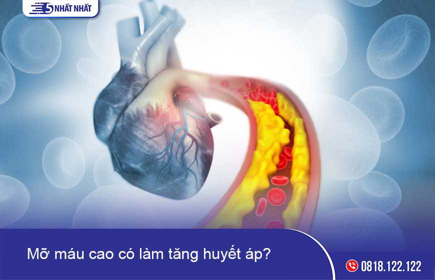 Mỡ máu cao làm tăng huyết áp có đúng không?