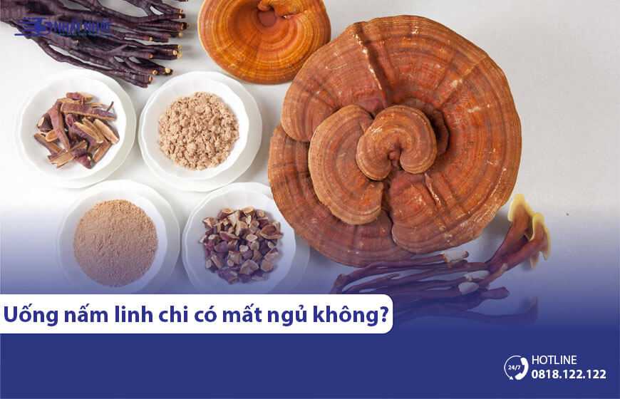 Uống nấm linh chi nhiều có gây mất ngủ không?