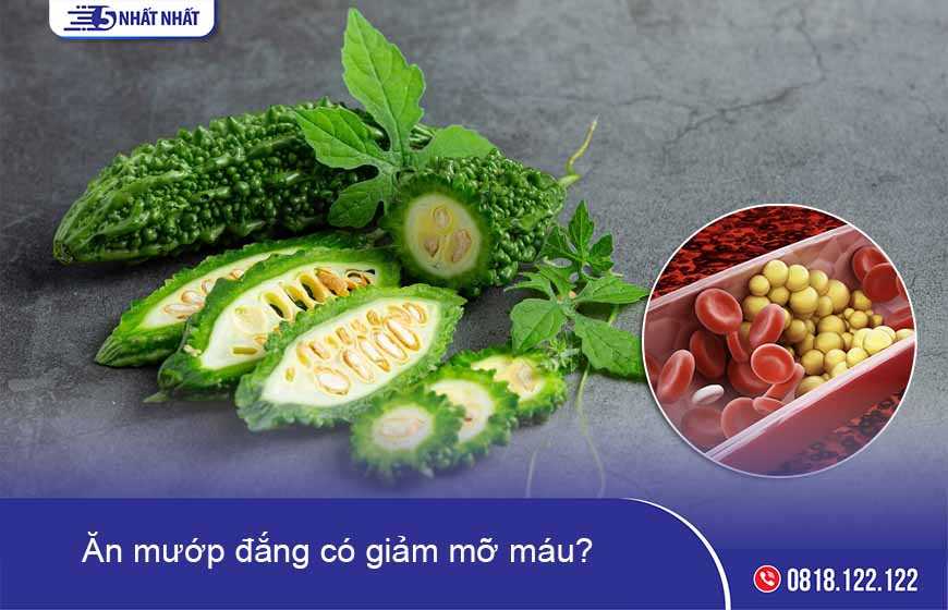 Ăn mướp đắng có giảm mỡ máu không?