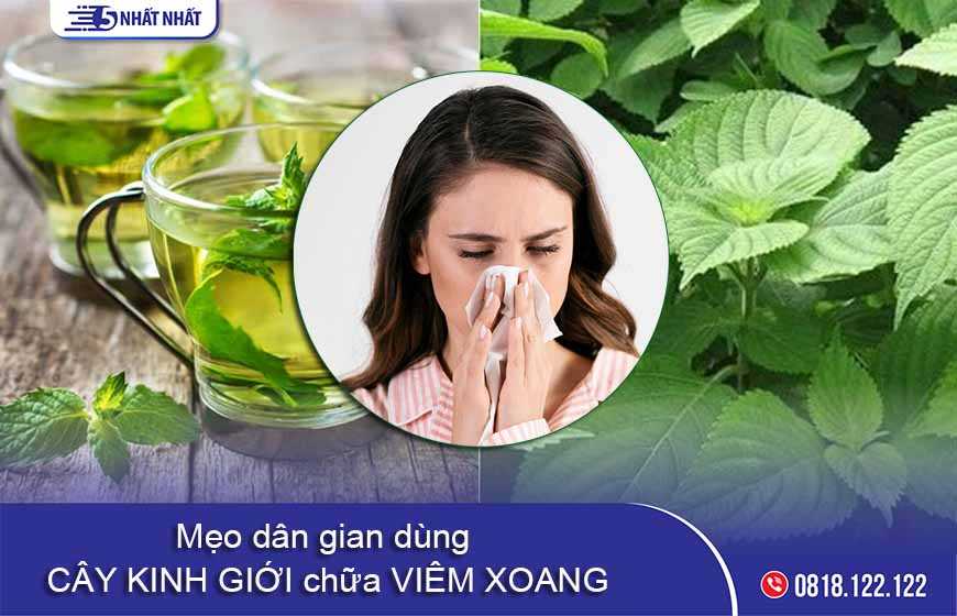 Mẹo dân gian dùng cây kinh giới chữa viêm xoang