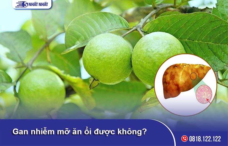 Gan nhiễm mỡ ăn ổi được không?