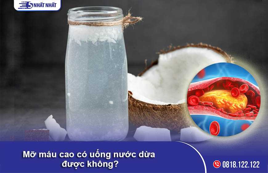 Mỡ máu cao có uống được nước dừa không?