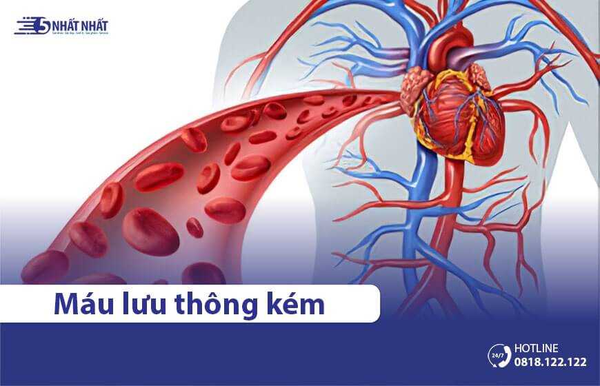 Nguyên nhân khiến khí huyết (máu) lưu thông kém & Cách điều trị